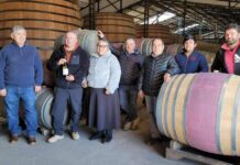 El viaje asociativo de castañas y moscatel de Ñuble para llegar a las mesas extranjeras