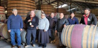 El viaje asociativo de castañas y moscatel de Ñuble para llegar a las mesas extranjeras