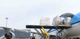 Aerosan se prepara para temporada de la fruta con un aumento de 30% en su capacidad logística