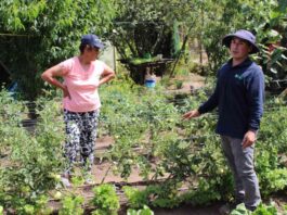 Agricultores de Arauco iniciaron camino hacia la producción sostenible