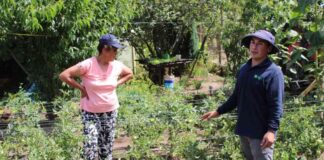 Agricultores de Arauco iniciaron camino hacia la producción sostenible