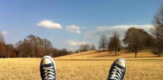 Agricultura de precisión y la tecnología que mejora las cosechas en Chile