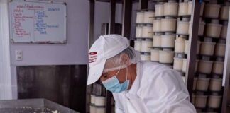 Amazon USA recibirá por primera vez quesos chilenos premium provenientes de la Región de los Lagos