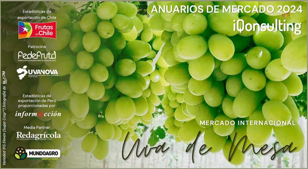 Anuario Internacional de Uva de Mesa 2024 iQonsulting