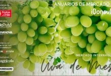 Anuario Internacional de Uva de Mesa 2024 iQonsulting