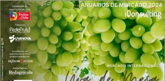 Anuario Internacional de Uva de Mesa 2024 iQonsulting