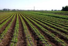 CNR llama a comunidades agrícolas e indígenas de Atacama y Coquimbo a participar en concurso de tecnificación para proyectos no seleccionados