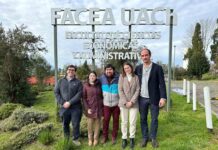 Celebran el Día Internacional de las Cooperativas destacando el rol crucial de la innovación