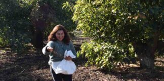 Centro Ceres distribuye Guías de Prácticas Agrícolas Sostenibles