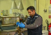 Combustibles alternativos una solución energética económica y sustentable