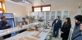 Concluye Proyecto de Innovación para Fortalecer la Industria del Aserrío en Aysén