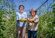 Concurso PROGYSO para organizaciones campesinas