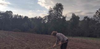 La Manzana de Valdivia y su proyecto de legumbres agroecológicas con familias campesinas