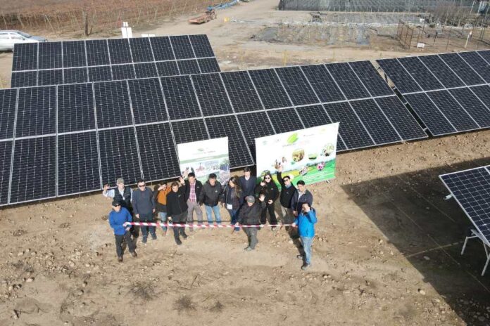 Copec Flux inaugura planta solar para energizar Viveros El Tambo