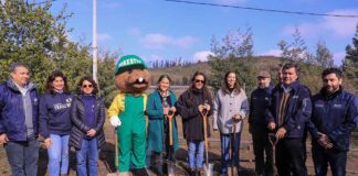 Gobierno lanza campaña de voluntariado “Devolvamos el color a Peñuelas” para reforestar la Reserva Nacional en Valparaíso