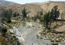  “El proyecto de desaladora de Coquimbo siempre debió considerar suministro para la agricultura”