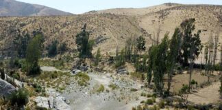  “El proyecto de desaladora de Coquimbo siempre debió considerar suministro para la agricultura”