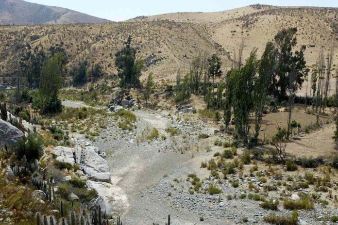  “El proyecto de desaladora de Coquimbo siempre debió considerar suministro para la agricultura”