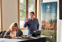 Reunión en Puerto Varas reúne a actores claves para fortalecer la industria bovina regional