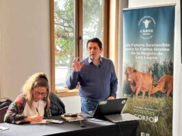 Reunión en Puerto Varas reúne a actores claves para fortalecer la industria bovina regional