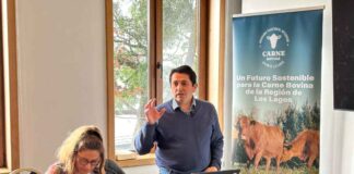 Reunión en Puerto Varas reúne a actores claves para fortalecer la industria bovina regional