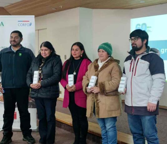 INIA y Achipia con apoyo de Corfo Los Lagos ayudan a producir hortalizas inocuas en Chiloé INIA y Achipia con apoyo de Corfo Los Lagos ayudan a producir hortalizas inocuas en Chiloé