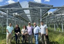 Incorporación de paneles agrofotovoltaicos podría resolver problemática de pérdida de suelos agrícolas