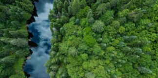 Iniciativa Science Based Targets avala los objetivos de ABB en materia de cero emisiones para 2030 y 2050