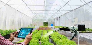 Internet como servicio público: desarrollo inclusivo y sostenible para todos