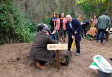 Jardín Botánico presentó la colección de los árboles monumentos naturales de Chile