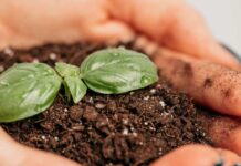 Mall Cenco Alto Las Condes reciclará los residuos orgánicos de su zona gastronómica para transformarlos en compost