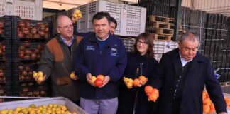 Ministro Valenzuela analiza productos de temporada: “nuestra producción hortícola es resiliente”