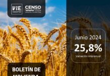 Molienda de trigo de la Región del Biobío aumentó 25,8% en junio