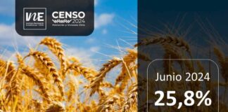 Molienda de trigo de la Región del Biobío aumentó 25,8% en junio