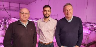 Nueva Vid se une a Grupo Hijuelas para transformar la producción frutícola a nivel global