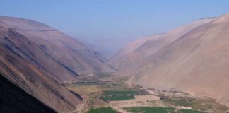Optimizarán la agricultura del desierto con la ayuda de tecnología de última generación