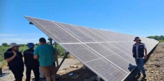 Presidente de Fedefruta pide incentivos para autogeneración de energía entre productores frutícolas por alza en las tarifas eléctricas