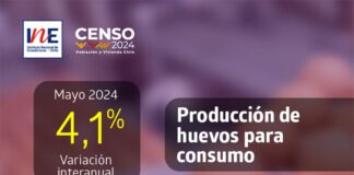 Producción de huevos de consumo presentó un incremento interanual de 4,1% en mayo de 2024