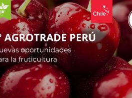 Programa Agrotrade Perú 2024