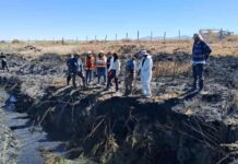 SAG realiza evaluación en terreno tras incendio forestal que amenaza hábitat de la Ranita del Loa