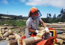 Seremi de Energía da a conocer beneficiarios del programa "Leña más Seca"
