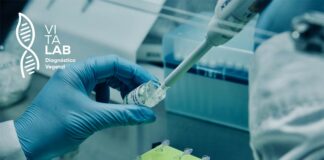 Vitalab: Innovación y Precisión en Fitopatología y Diagnóstico Vegetal, Líder en Chile, se prepara a conocer los desafíos y requerimientos del mercado peruano