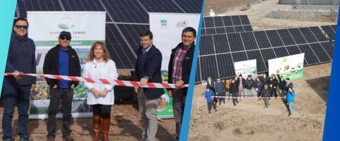 Viveros El Tambo inaugura planta solar de Copec Flux para producir energía