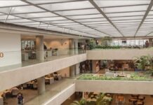 Natura obtiene el primer lugar en el Índice de Percepción de Sostenibilidad Empresarial 2024 de Ipsos