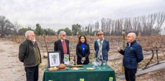 Científicos de INIA La Platina recuerdan cómo identificaron genéticamente a Carmenère, la cepa del vino premiado a nivel mundial