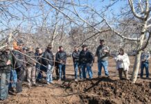Chilenut celebra exitosa reanudación de sus días de campo