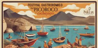 Debuta la Fiesta del Picoroco y el Cochayuyo 