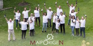 pequeños productores vitivinícolas maiporigen realizarán su primera feria de vinos en santiago
