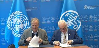 La FAO y el INE de Chile firman acuerdo para mejorar las estadísticas agropecuarias en la región