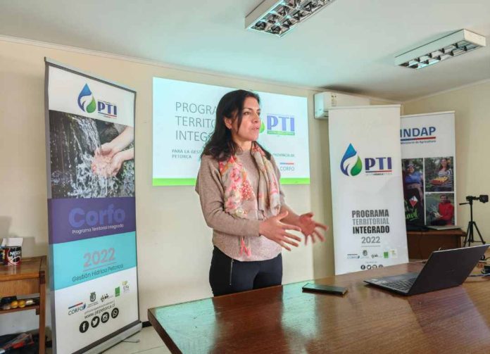 Agua Desalinizada en la Provincia de Petorca: ¿Es realmente la mejor respuesta para el Agro frente a la escasez hídrica?